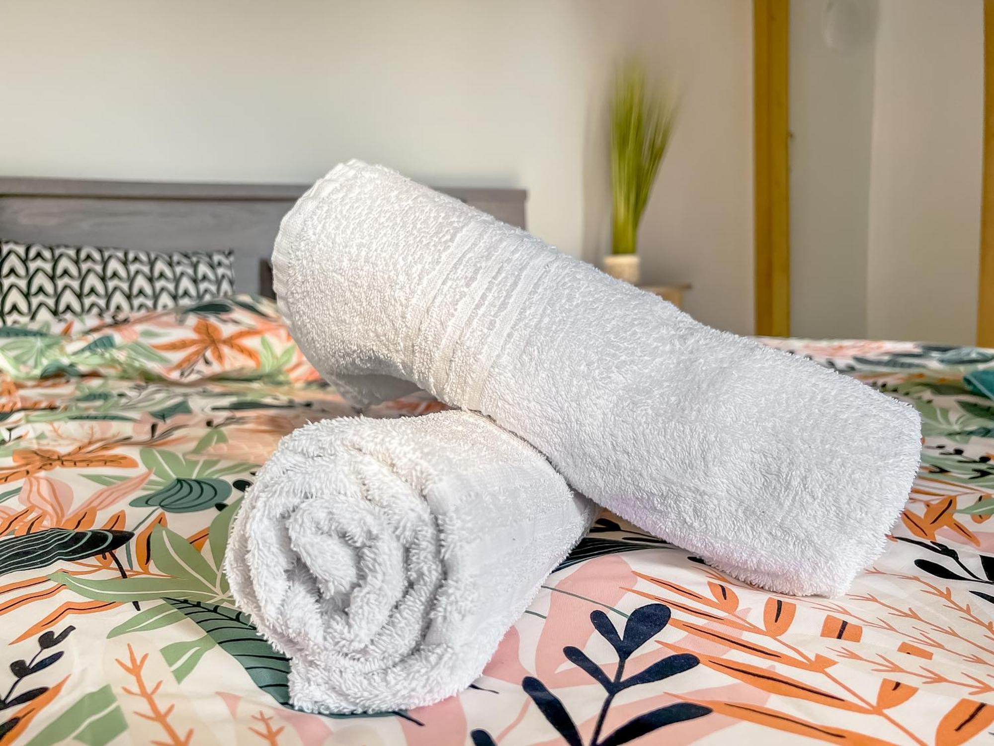 Ferienwohnung L'Eden Carolo - Netflix, Wi-Fi, 10Min Aeroport, Parking Gratuit Dampremy Exterior foto